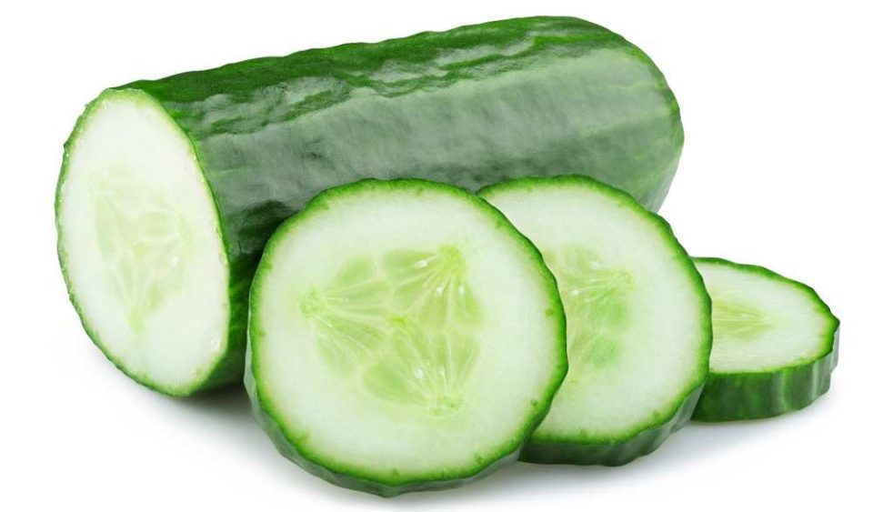 Can Dogs Eat Cucumber? Are Cucumbers Bad For Dogs? Pet Diet Guide