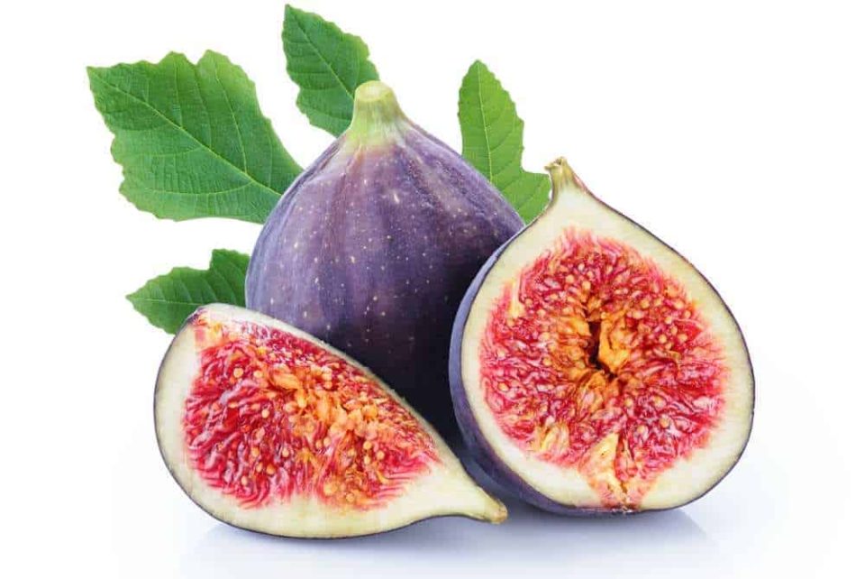 Can Dogs Eat Figs? Are Figs Bad For Dogs? Pet Diet Guide
