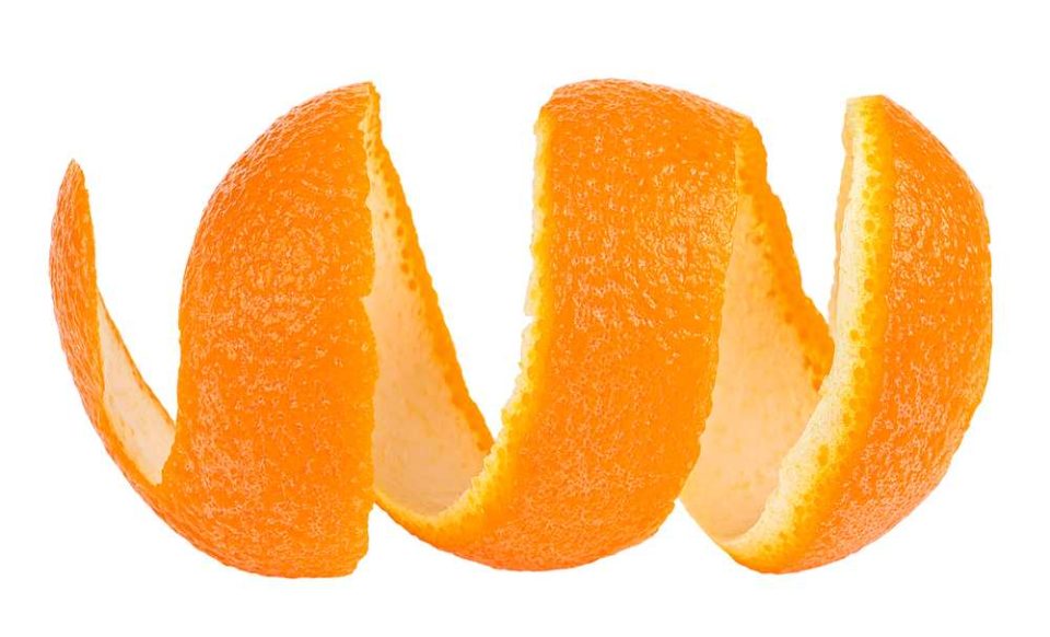 Can Dogs Eat Orange Peels? Are Orange Peels Bad For Dogs? Pet Diet Guide
