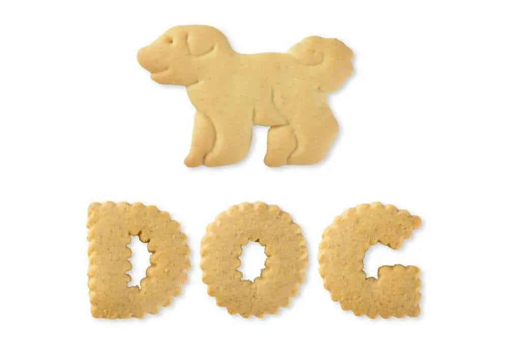 are crackers bad for dogs