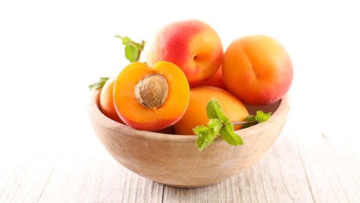 Can Dogs Eat Apricots? Are Apricots Bad For Dogs?