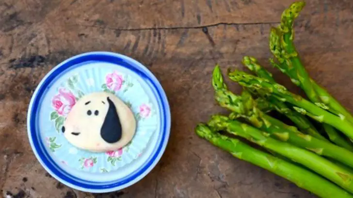 Can Dogs Eat Asparagus? Is Asparagus Bad For Dogs?