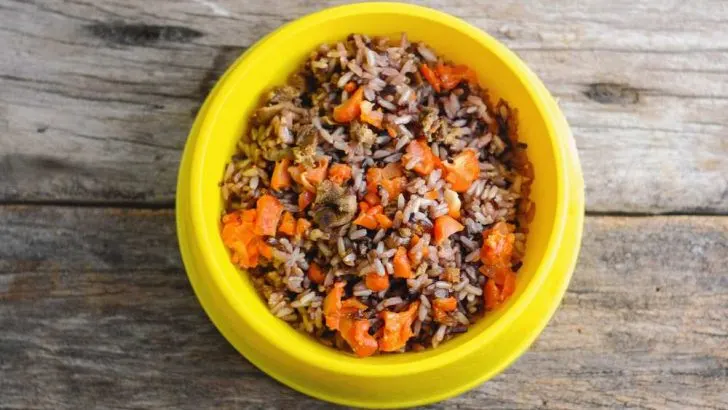 Can Dogs Eat Brown Rice