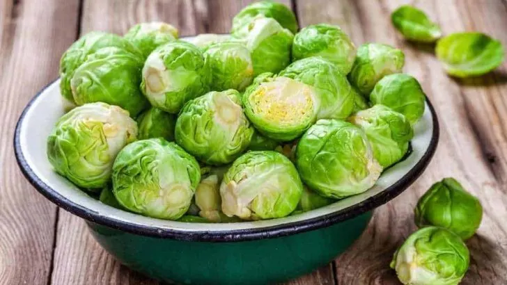 Can Dogs Eat Brussel Sprouts