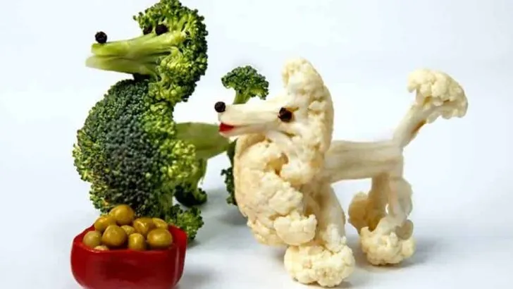 Can Dogs Eat Cauliflower
