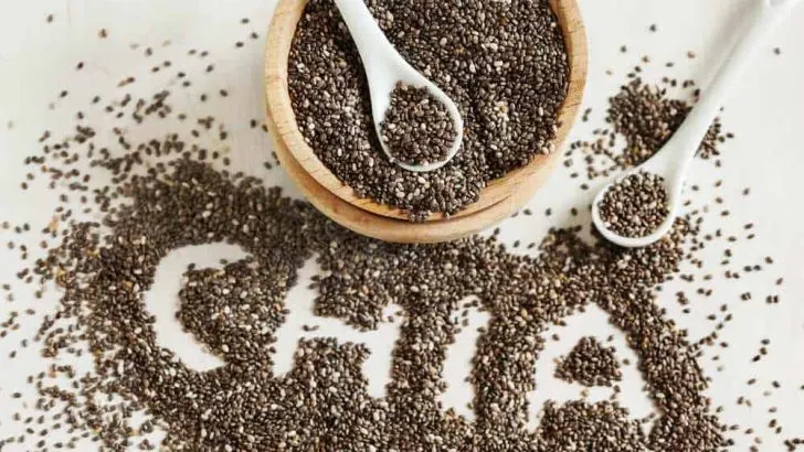 Can Dogs Eat Chia Seeds