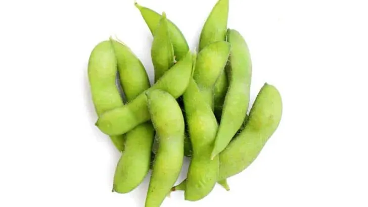 Can Dogs Eat Edamame