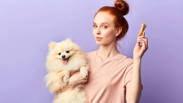 Can Dogs Eat Ginger