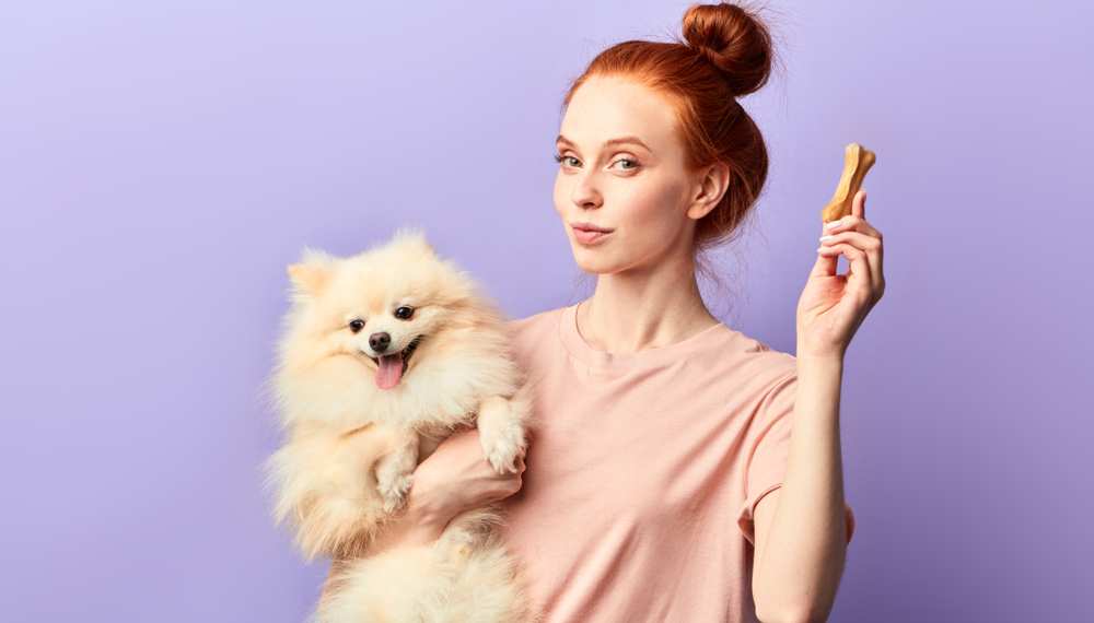 Can Dogs Eat Ginger? Is Ginger Bad For Dogs?