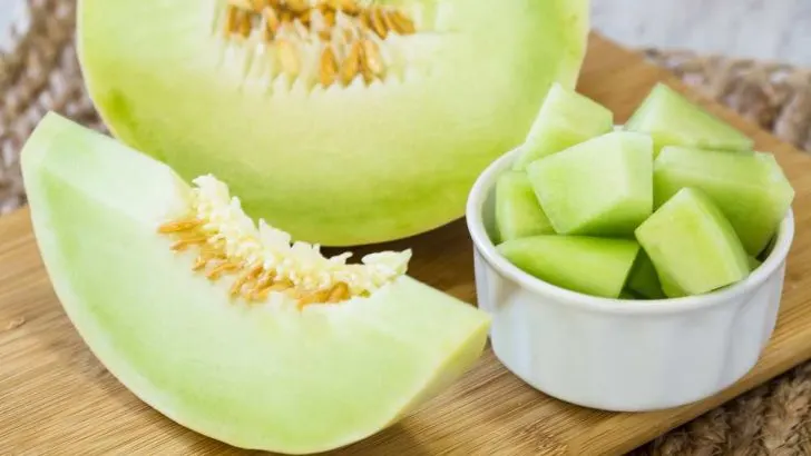 Can Dogs Eat Honeydew