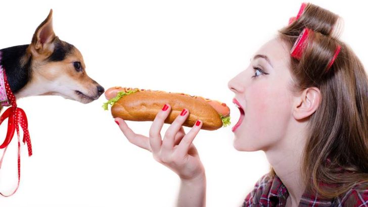 Can Dogs Eat Hot Dogs? Are Hot Dogs Bad For Dogs?