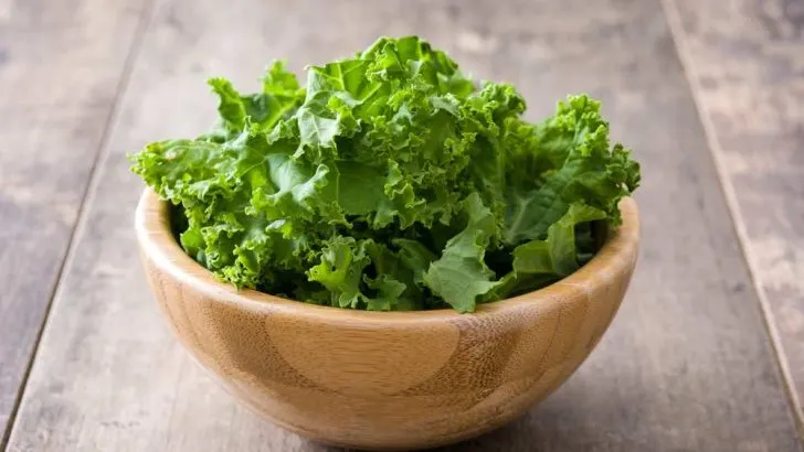 Can Dogs Eat Kale