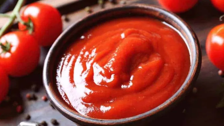 Can Dogs Eat Ketchup