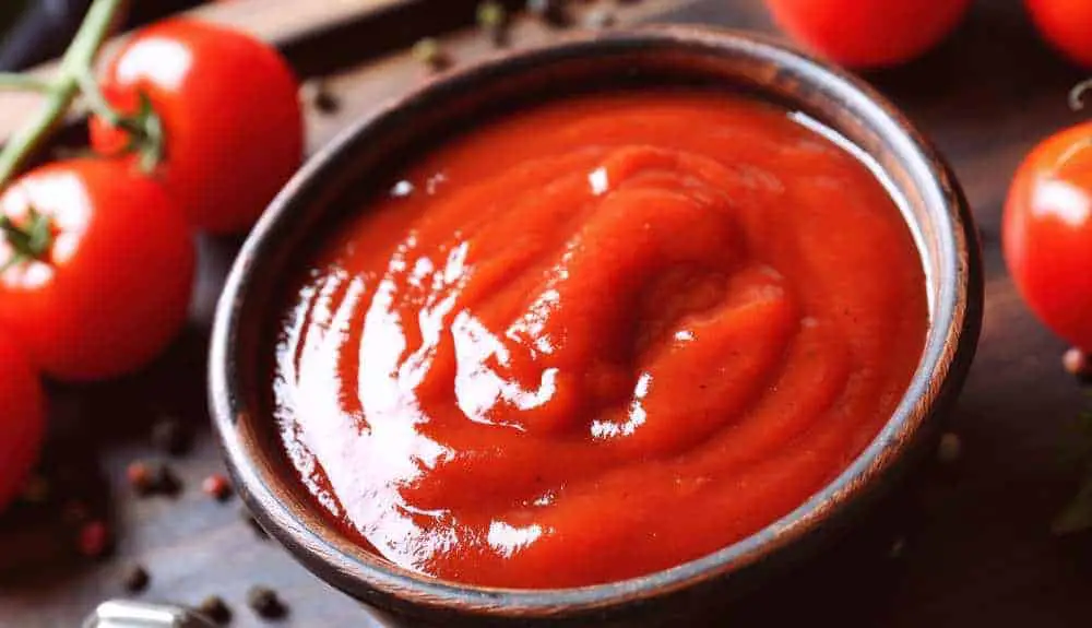 ¿Pueden los perros comer salsa de tomate?