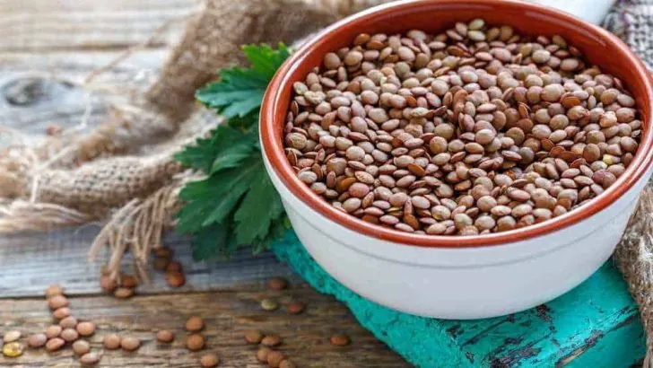 Can Dogs Eat Lentils