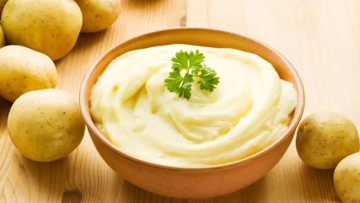 Can Dogs Eat Mashed Potatoes