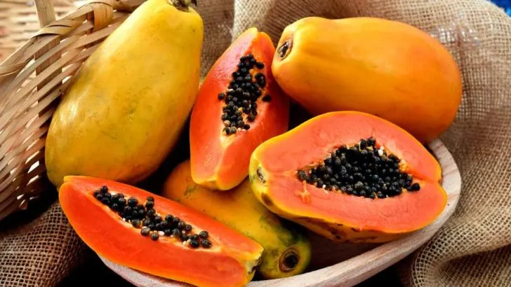 Can Dogs Eat Papaya