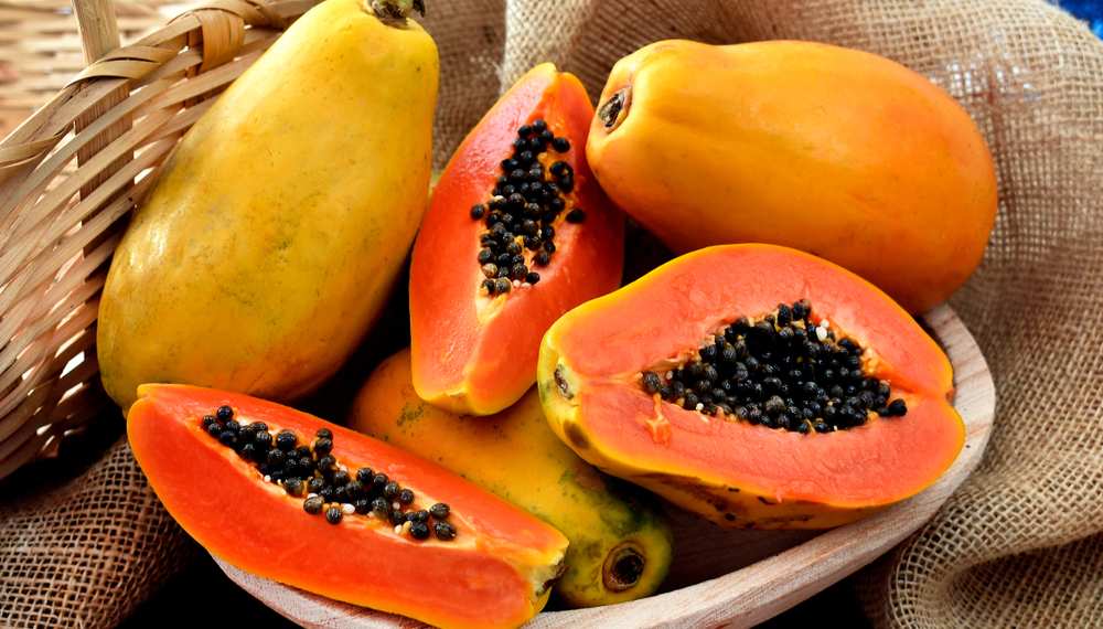 Can Dogs Eat Papaya? Is Papaya Bad For Dogs?