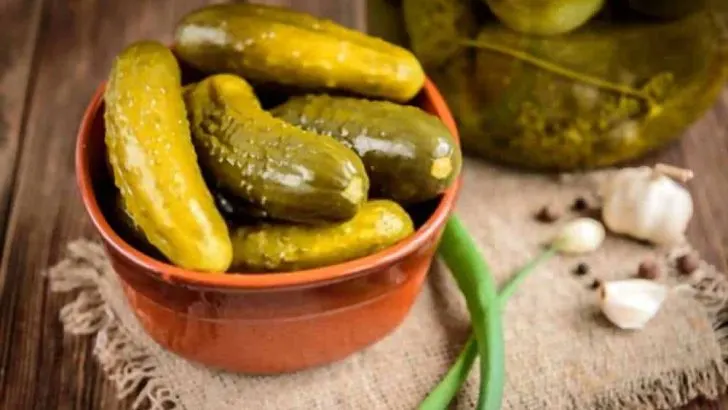 Can Dogs Eat Pickles
