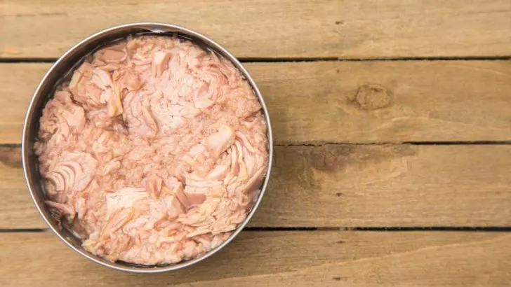 Can Dogs Eat Tuna Fish
