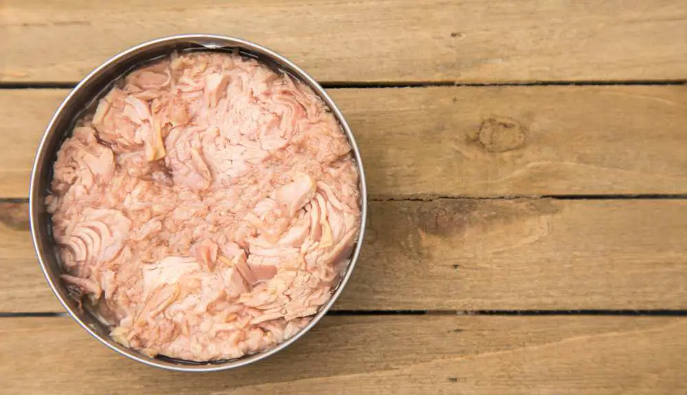 Can Dogs Eat Tuna Fish? Is Tuna Bad For Dogs?