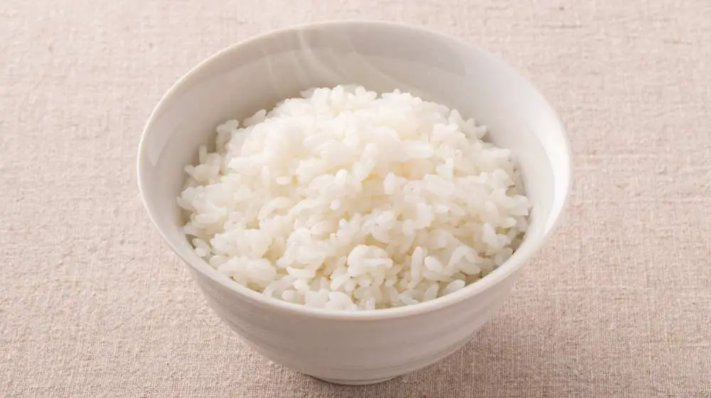 Can Rabbits Eat Rice? | Pet Diet Guide