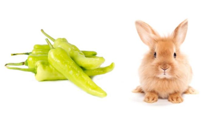 Can Rabbits Eat Banana Peppers?