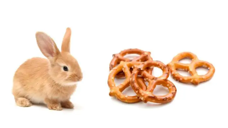 Can Rabbits Eat Pretzels?