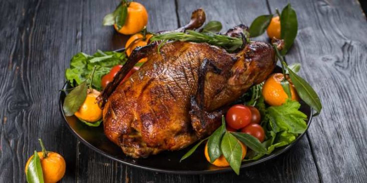 Can Bearded Dragons Eat Turkey? | Pet Diet Guide