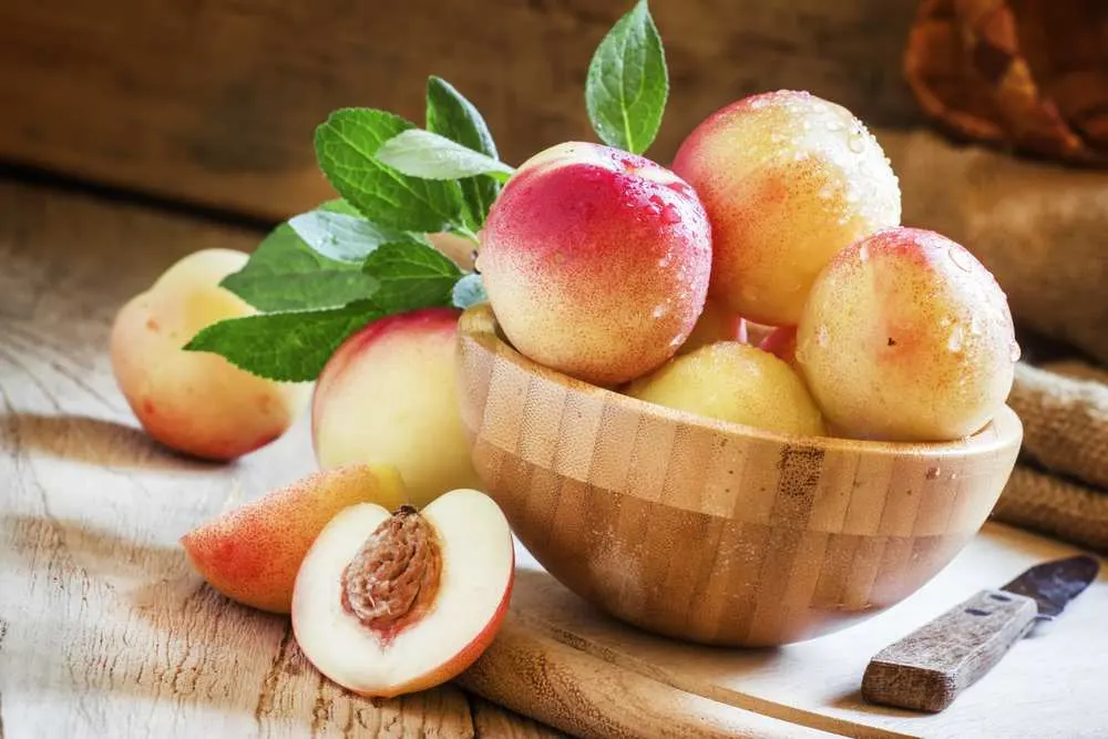 Dh Can Dogs Eat Nectarines
