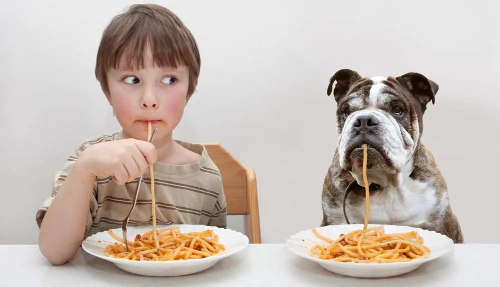 Dh Can Dogs Eat Pasta