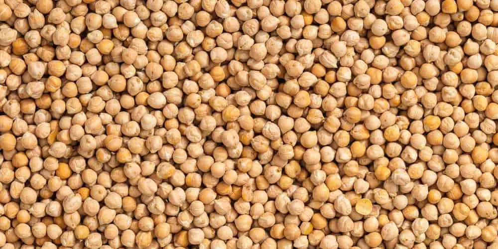 can-dogs-eat-chickpeas-are-chickpeas-bad-for-dogs-pet-diet-guide