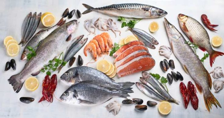 Can Rabbits Eat Fish? | Pet Diet Guide