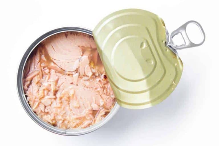 can-dogs-eat-canned-tuna-is-canned-tuna-bad-for-dogs-pet-diet-guide