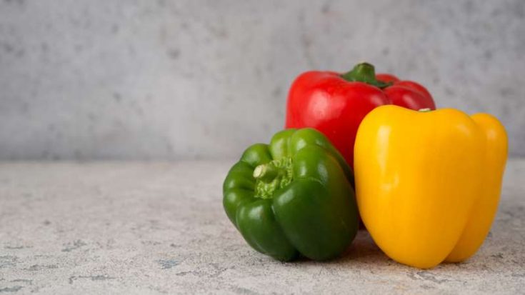 Can Rabbits Eat Bell Peppers? | Pet Diet Guide