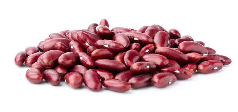 are kidney beans good for dogs