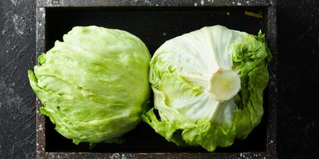 Picture of Can Guinea Pigs Eat Iceberg Lettuce? | Pet Diet Guide